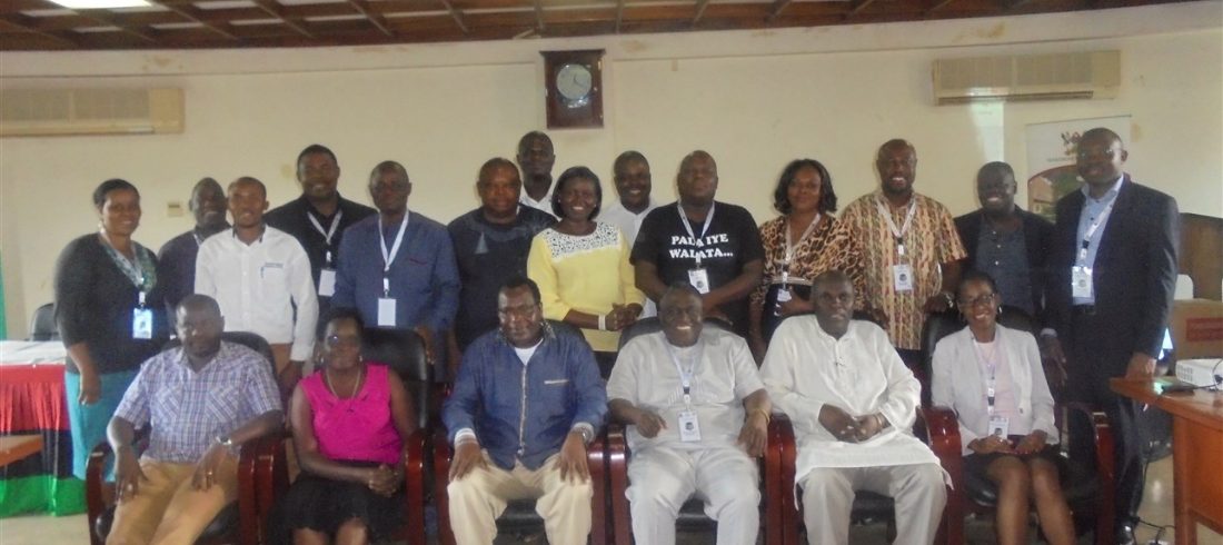 DSC03116 (1288 x 966)