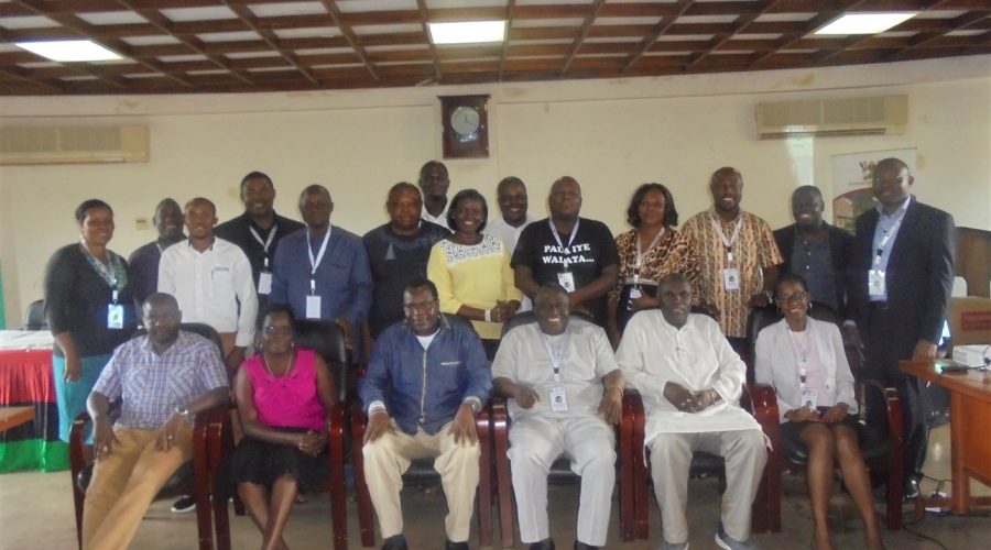 DSC03116 (1288 x 966)