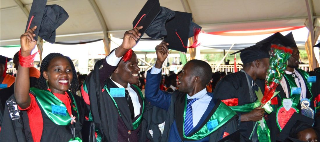 DSC_0978 (1272 x 654)