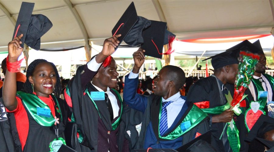 DSC_0978 (1272 x 654)