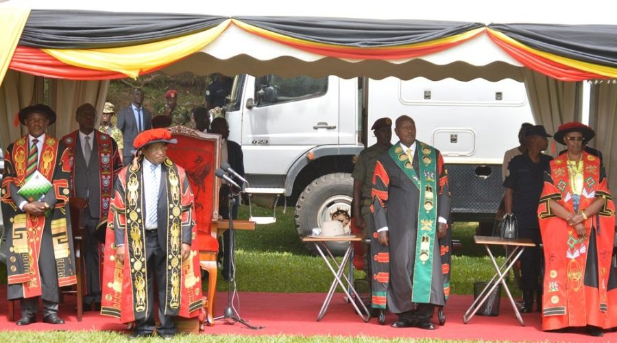 DSC_0418 (1128 x 750)